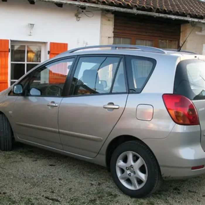 Lola Corolla & the Death-wish Doggie