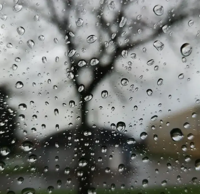 Hey Summer, Where Ya Been?