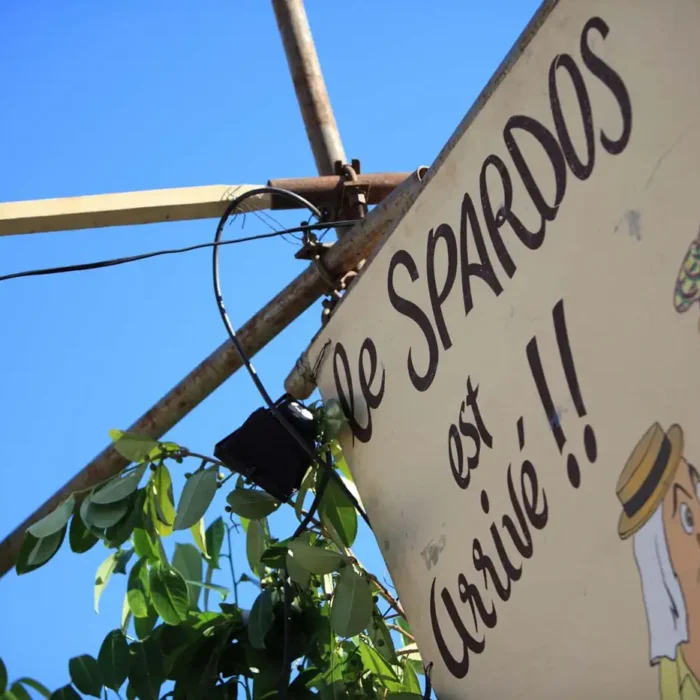 Spardos & the Annual Summer Slowdown