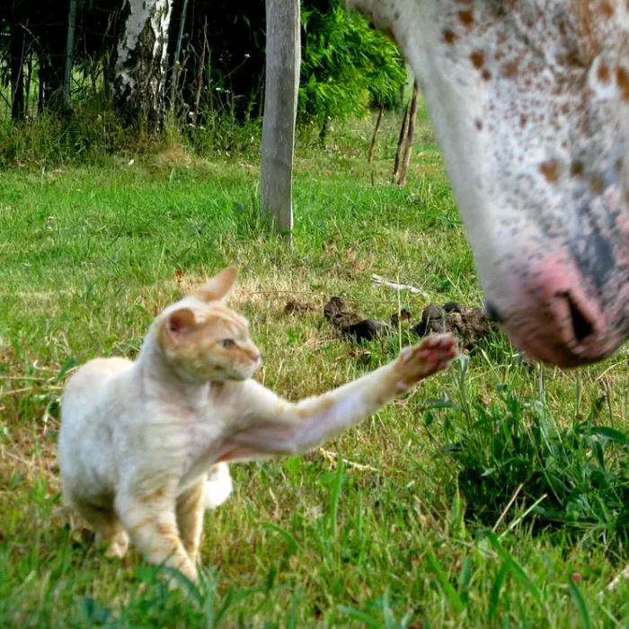 How Does Your Garden Grow?