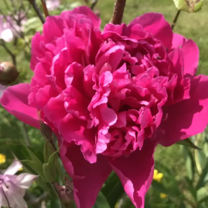 Hot, Hot, Storm, Crap