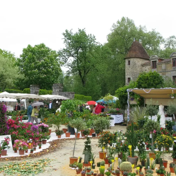 New Friends and the Floralie