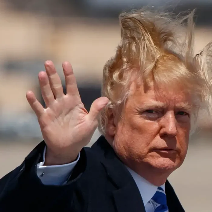 Shock, Horror and Disgust