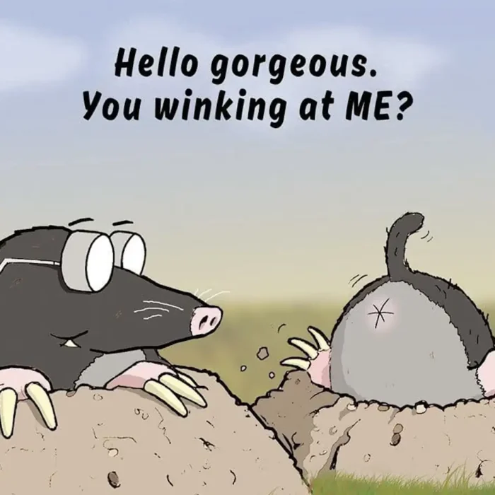 Happy Valentines Day