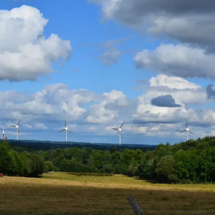 Not Much To Report, & Late Doing So