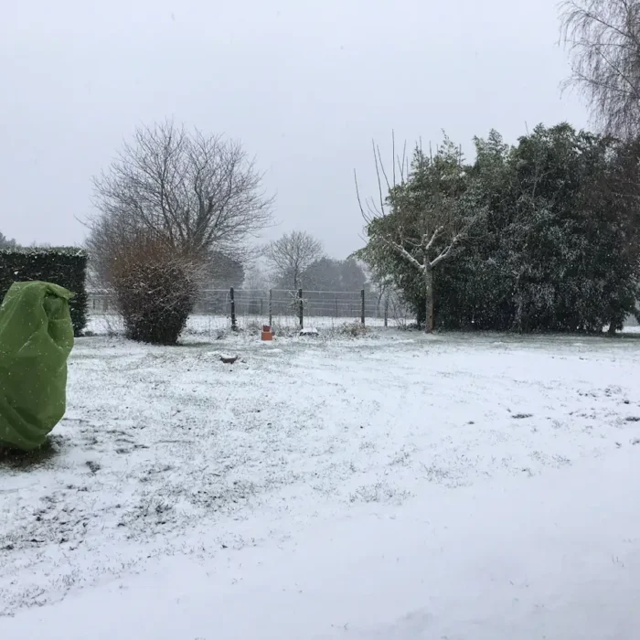 A Clean Fosse and Lots of Cake