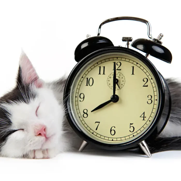 Convalescence: Week I