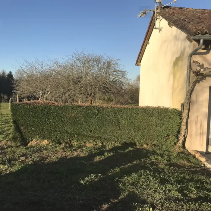 I Really Should Be Working