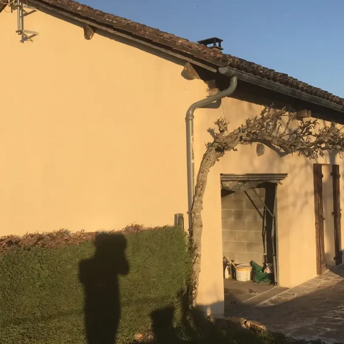 A Very Punctual Spring