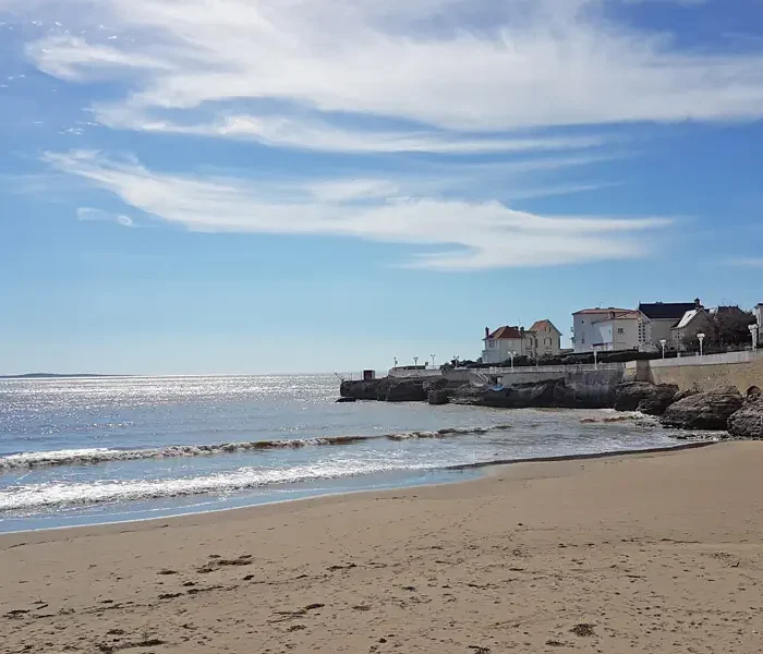 Frog Blog Goes Bi-Weekly