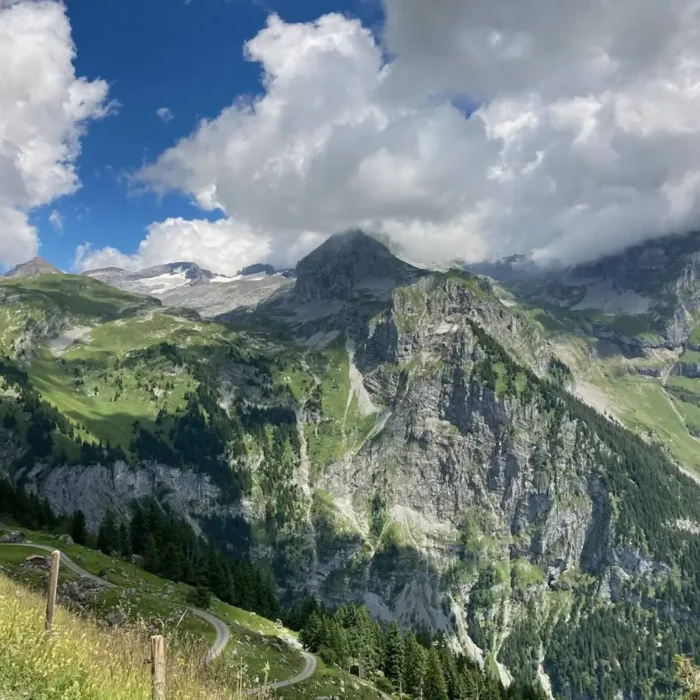 The Pandemic Years Recap Part III: 2022