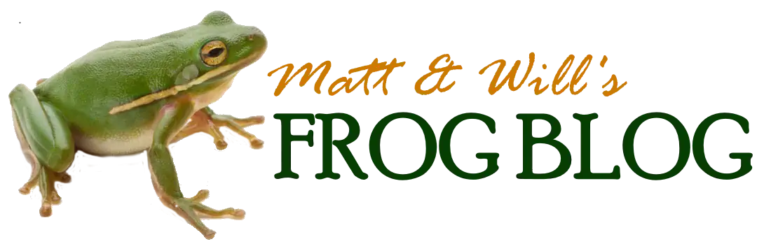 Frog Blog