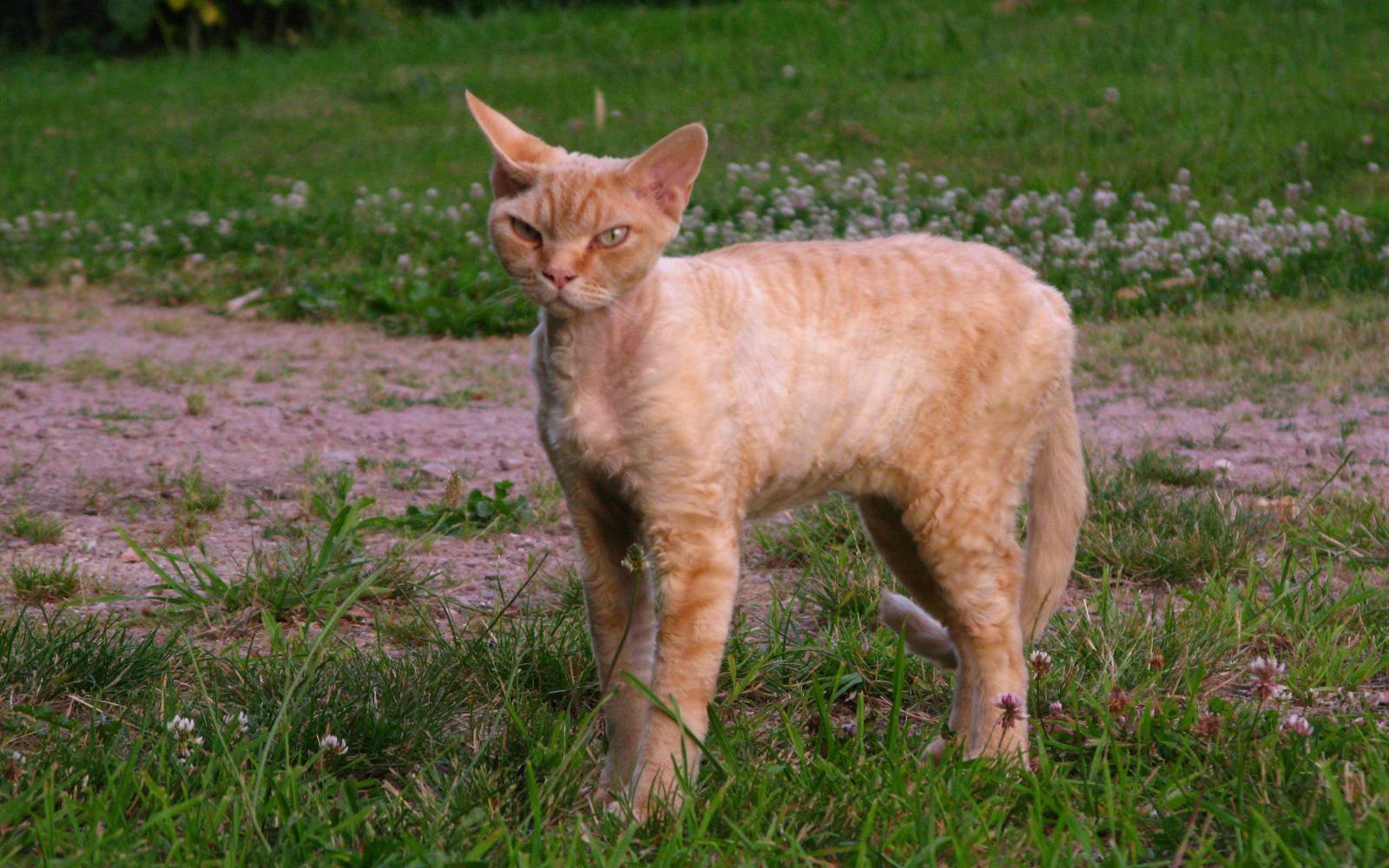 The 2025 Yearly Recap: Changes